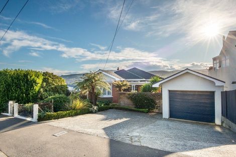 Photo of property in 113 Signal Hill Road, Opoho, Dunedin, 9010