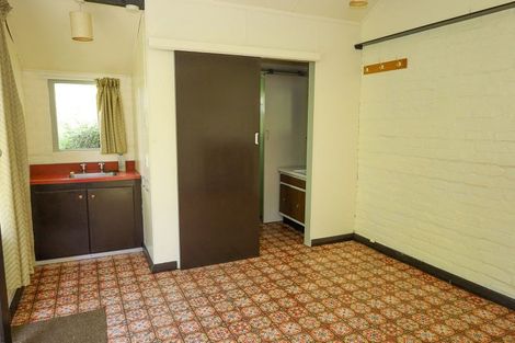 Photo of property in 17 Littlebourne Road, Roslyn, Dunedin, 9010