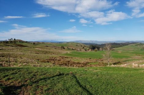 Photo of property in 169 Halliday Road, Waingaro, Ngaruawahia, 3793