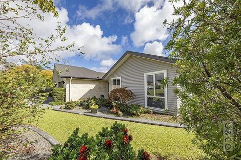 Photo of property in 65 Kaipara Portage Road, Riverhead, 0820