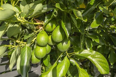 Photo of property in 19 Mcdonald Street, Napier South, Napier, 4110