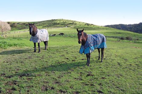 Photo of property in 353a Brown Road, Hakaru, Kaiwaka, 0573