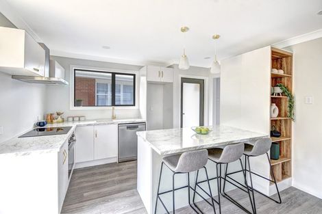 Photo of property in 111 Norwood Street, Normanby, Dunedin, 9010