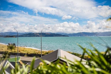 Photo of property in 765 Marine Drive, Eastbourne, Lower Hutt, 5013