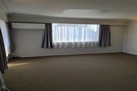 Photo of property in 133 Fitzroy Avenue, Fitzroy, Hamilton, 3206