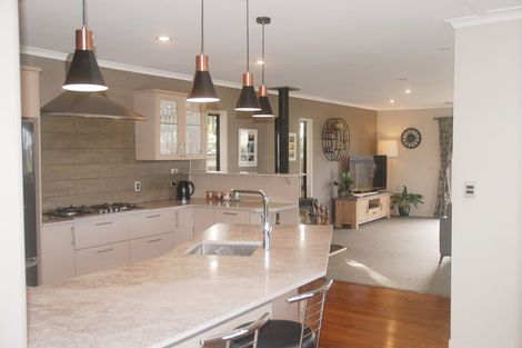 Photo of property in 45 Jonkers Road, Waitakere, Henderson, 0782