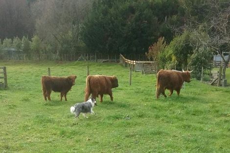 Photo of property in 499a White Pine Bush Road, White Pine Bush, Whakatane, 3192