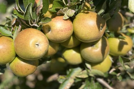 Photo of property in 94 Hibiscus Coast Highway, Red Beach, 0932