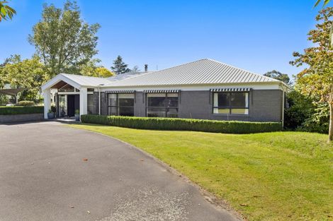 Photo of property in 40 Keenans Road, Newland, Ashburton, 7772