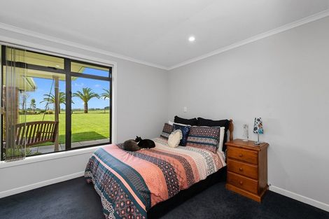 Photo of property in 55b Platt Road, Tauwhare, Hamilton, 3287