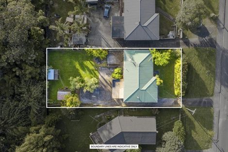 Photo of property in 69 Pine Avenue, Henderson, Auckland, 0612