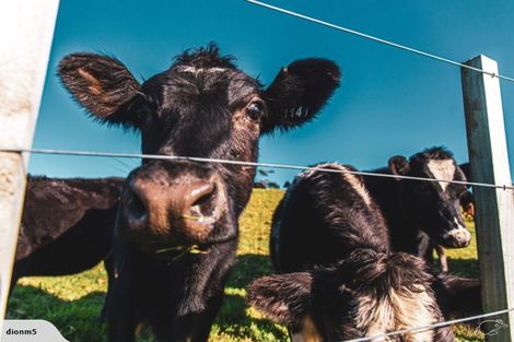 Photo of property in 8 Kyla Place, Hakaru, Kaiwaka, 0573