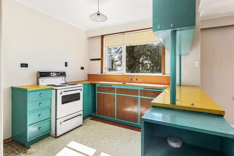 Photo of property in 68 Mitchell Street, Brooklyn, Wellington, 6021