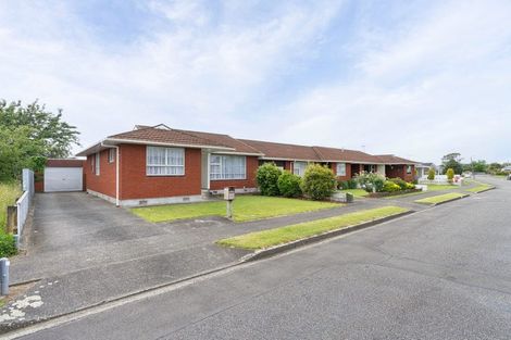 Photo of property in 43 Rugby Street, Levin, 5510