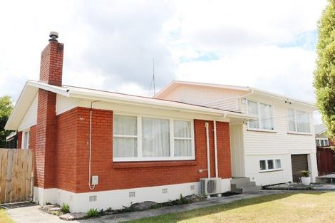Photo of property in 143 Fitzroy Avenue, Fitzroy, Hamilton, 3206