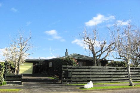 Photo of property in 2 Halsey Street, Levin, 5510
