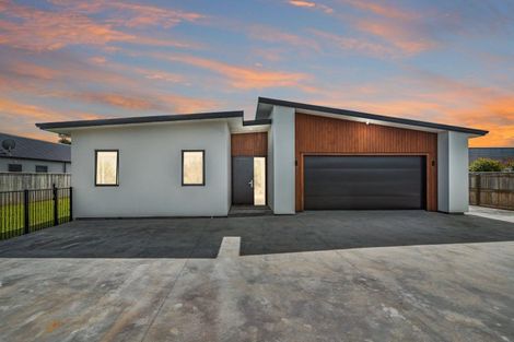 Photo of property in 50 Gimson Street, Solway, Masterton, 5810