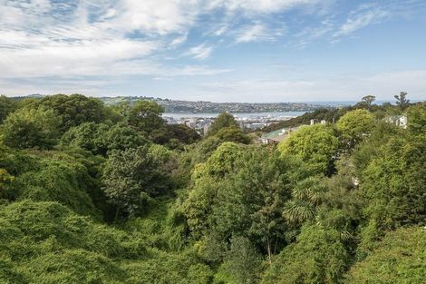 Photo of property in 22 Henry Street, Maori Hill, Dunedin, 9010