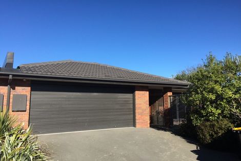 Photo of property in 24b Roker Street, Somerfield, Christchurch, 8024
