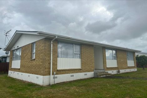 Photo of property in 63 Hinemoa Street, Levin, 5510