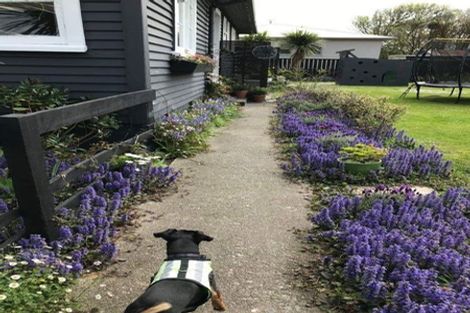 Photo of property in 25 Cobden Street, Westport, 7825