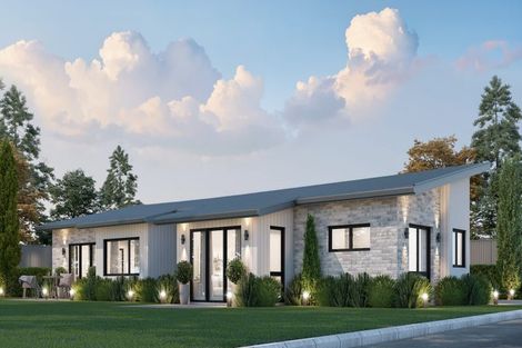 Photo of property in 24 Harp Street, Morrinsville, 3300