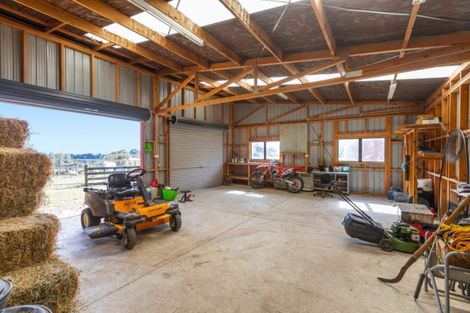 Photo of property in 1230a Omanawa Road, Omanawa, Tauranga, 3171