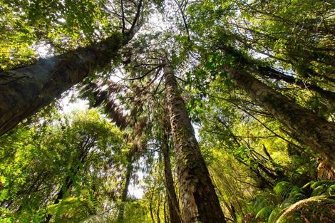 Photo of property in 120 Brickfield Road, Seaview, Hokitika, 7882