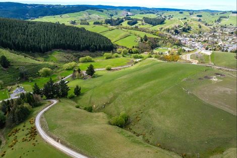 Photo of property in 65 Gabriels Gully Road, Lawrence, 9593