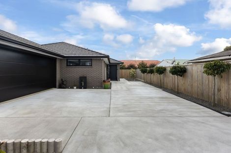 Photo of property in 30a Graham Street, Levin, 5510