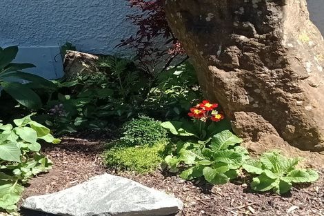 Photo of property in 53 Hawker Street, Mount Victoria, Wellington, 6011