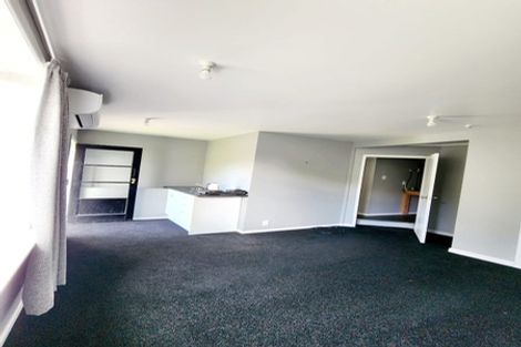 Photo of property in 117 Wallace Street, Mount Cook, Wellington, 6021