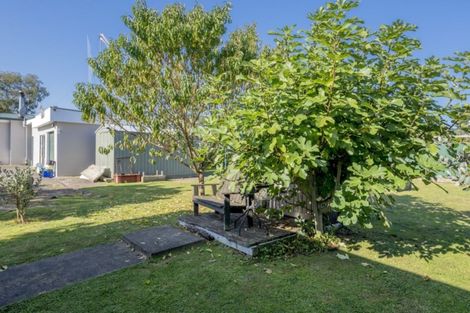 Photo of property in 84 Macarthur Street, Levin, 5510