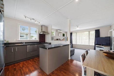 Photo of property in 19 Salisbury Avenue, Terrace End, Palmerston North, 4410