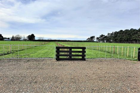 Photo of property in 157 Motuiti Road, Foxton, 4891