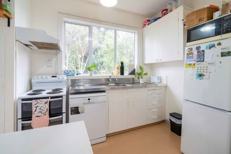 Photo of property in 41a Garfield Avenue, Roslyn, Dunedin, 9010