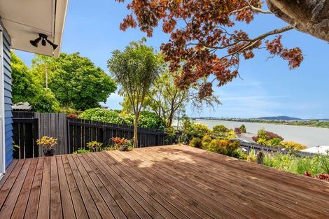 Photo of property in 53 Hampton Terrace, Parkvale, Tauranga, 3112