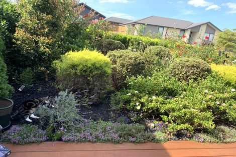 Photo of property in 4 Mary Place, Pyes Pa, Tauranga, 3112