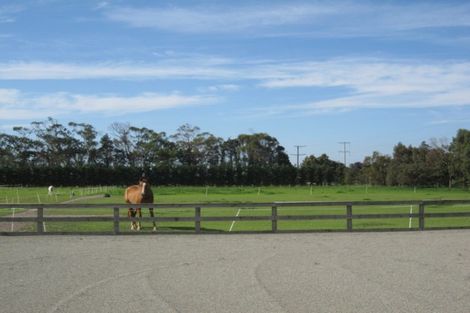 Photo of property in 535 Seadown Road, Seadown, Timaru, 7973
