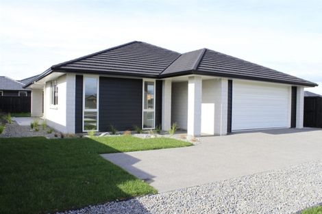 Photo of property in 25 Pyes Pa Road, Pyes Pa, Tauranga, 3112