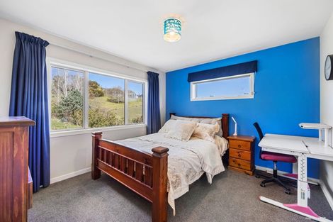 Photo of property in 45 Donaldson Drive, Coatesville, Albany, 0793