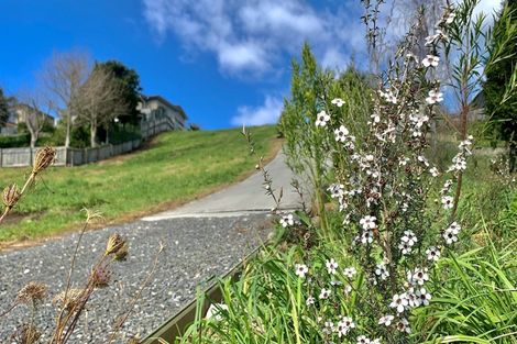 Photo of property in 79 Sapphire Drive, Hairini, Tauranga, 3112