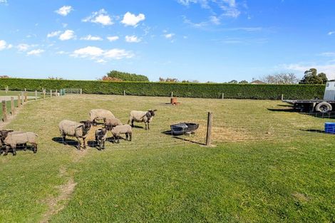 Photo of property in 72 Murdochs Road, Newland, Ashburton, 7772