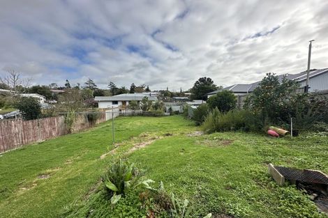 Photo of property in 31 Fruitvale Road, New Lynn, Auckland, 0600