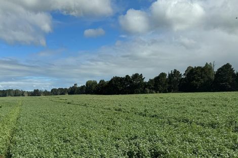 Photo of property in 314 Campbell Road, Richmond Downs, Walton, 3475