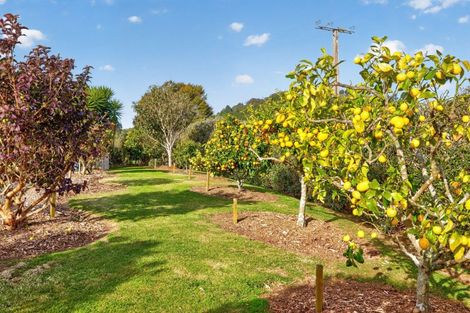 Photo of property in 157e Kaiate Falls Road, Waitao, Tauranga, 3175