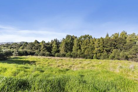 Photo of property in 88 Vaughans Road, Long Bay, Auckland, 0792