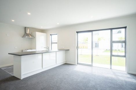 Photo of property in 45b Leeds Street, Milson, Palmerston North, 4414