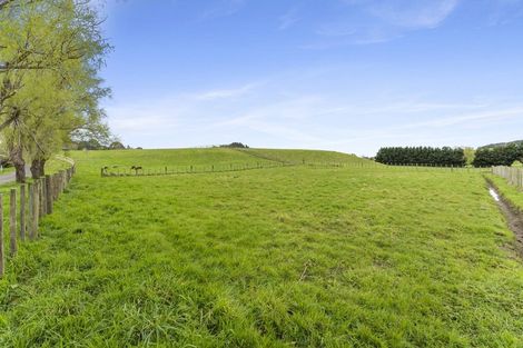 Photo of property in 192b Awahuri Feilding Road, Feilding, 4775