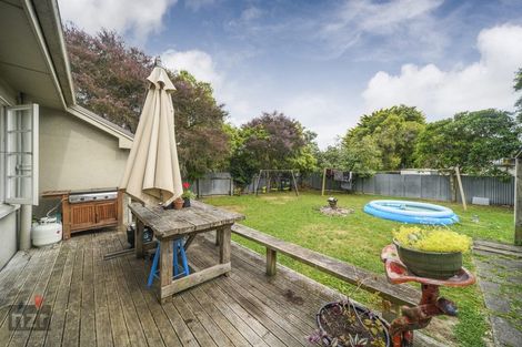 Photo of property in 60 Guy Avenue, Takaro, Palmerston North, 4410